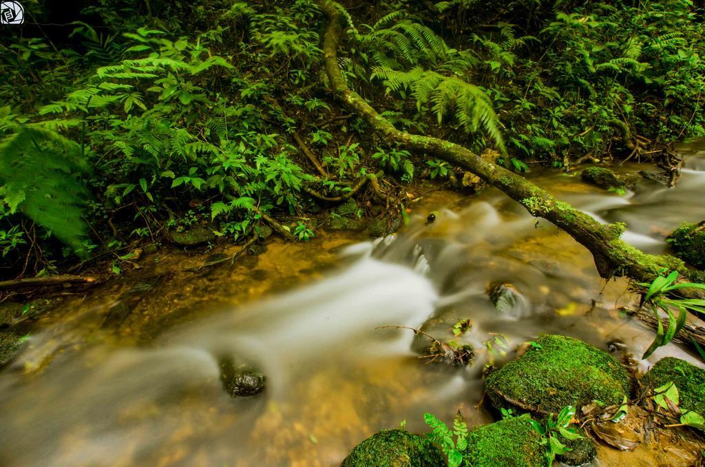 Hotel Cipreses Monteverde Kültér fotó