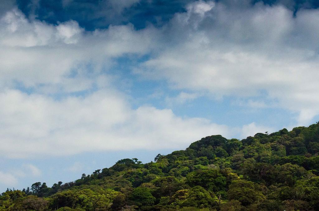 Hotel Cipreses Monteverde Kültér fotó