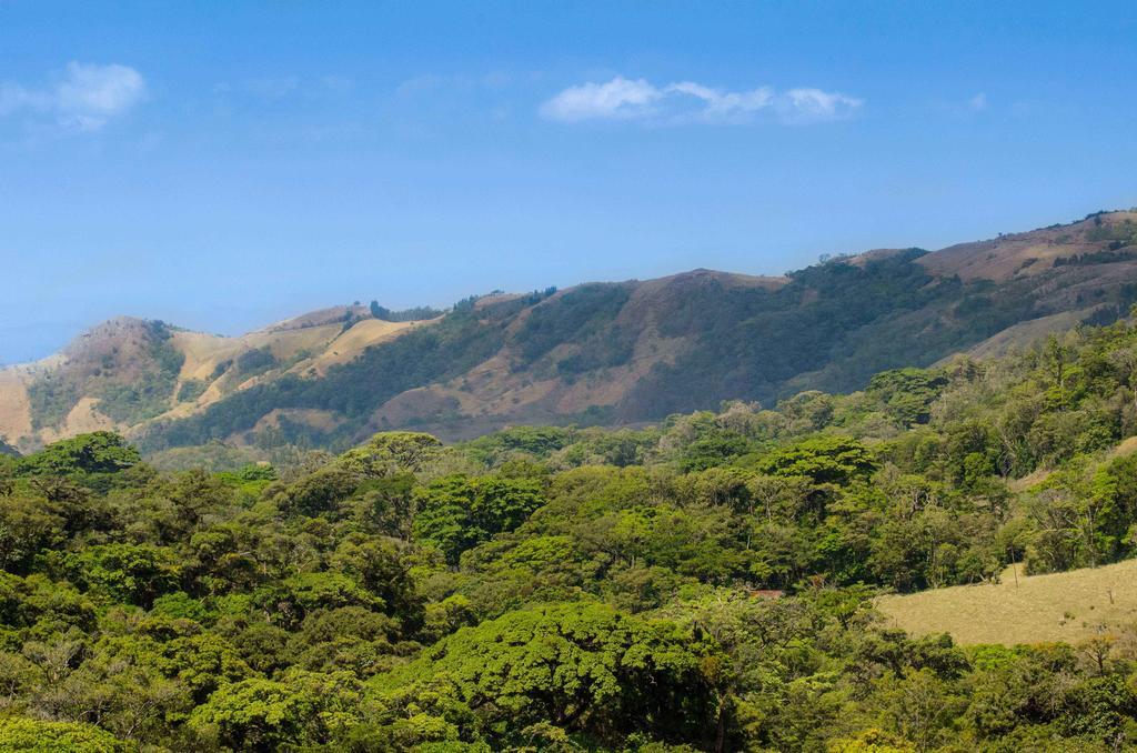 Hotel Cipreses Monteverde Kültér fotó