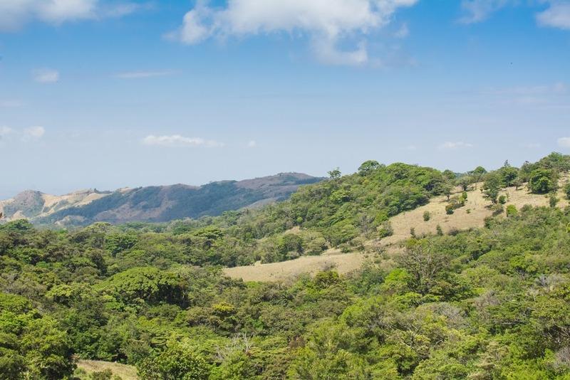 Hotel Cipreses Monteverde Kültér fotó